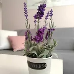 Appartamento Dip Pomorie